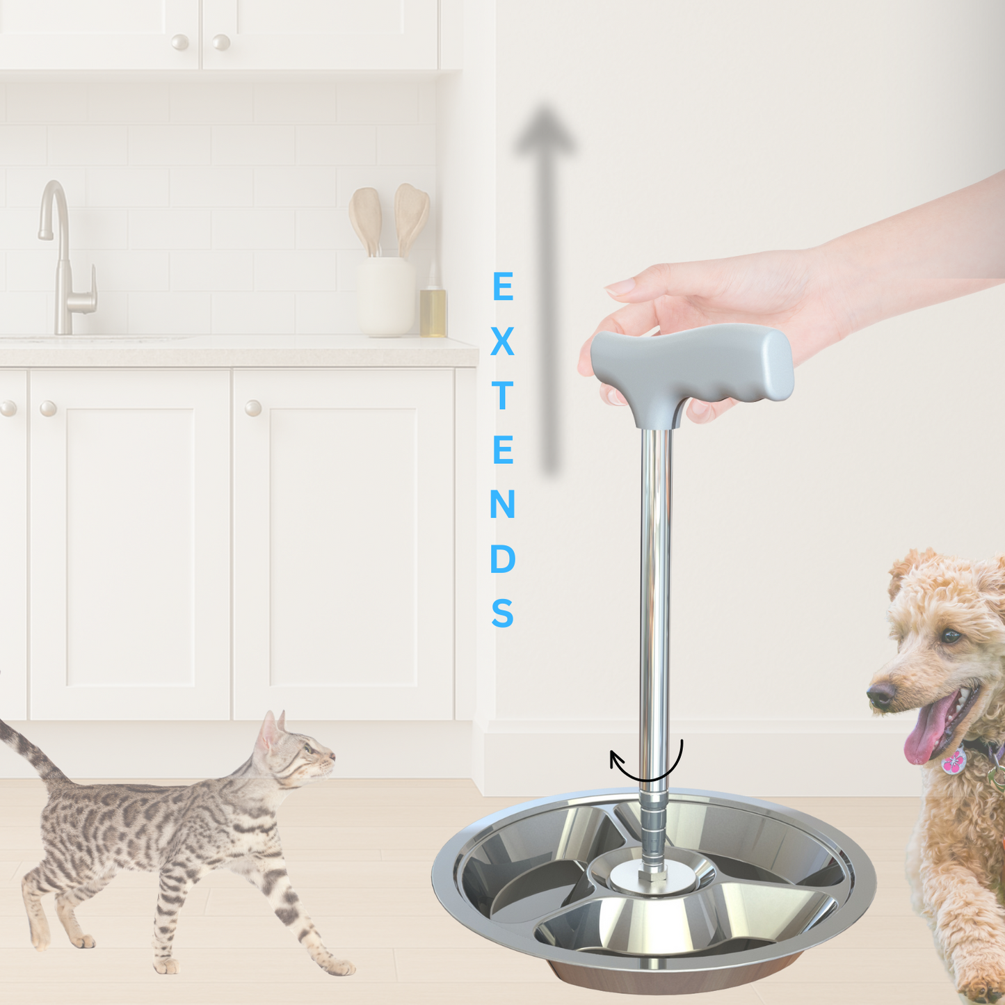 Flexi Pet Feeder — No-Bend Pet Bowl