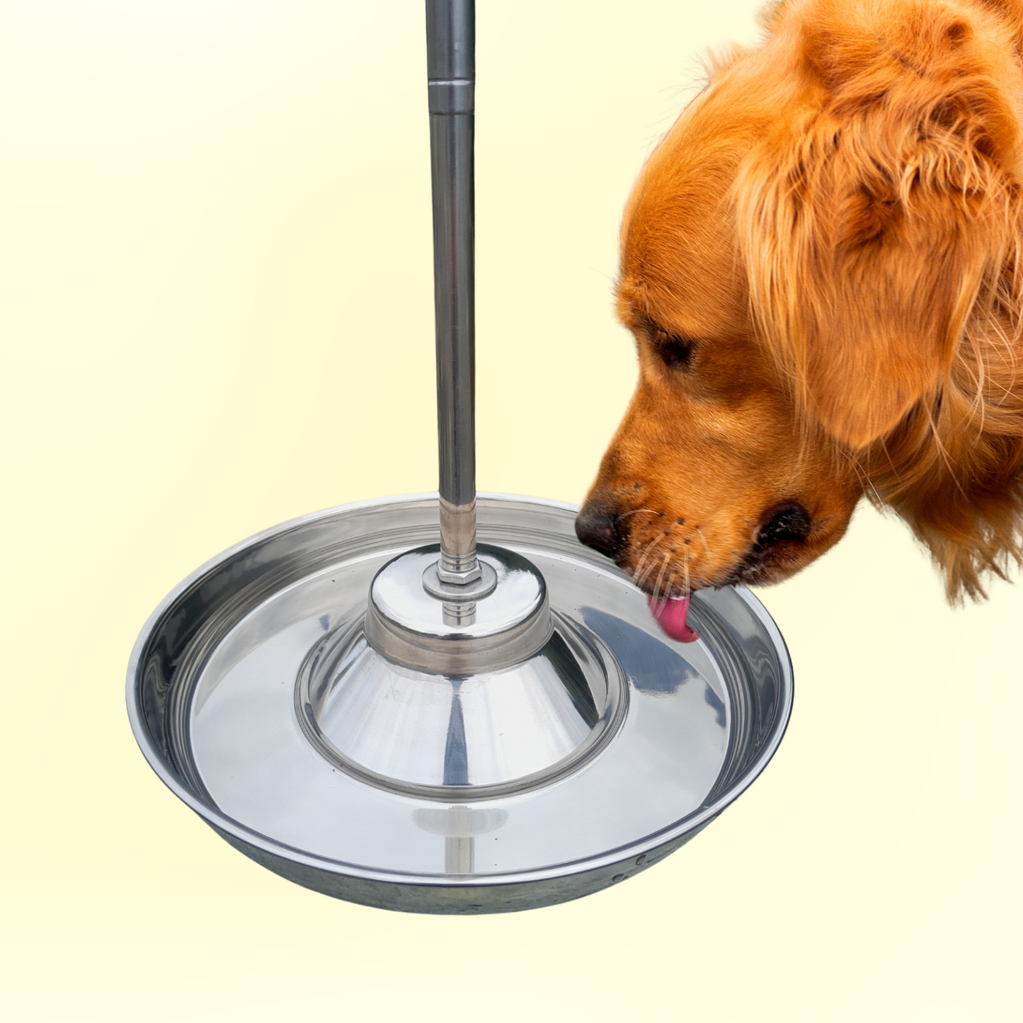 No-Bend Dog or cat Water/Food bowl with Extendable Handle, 'LARGE' size.