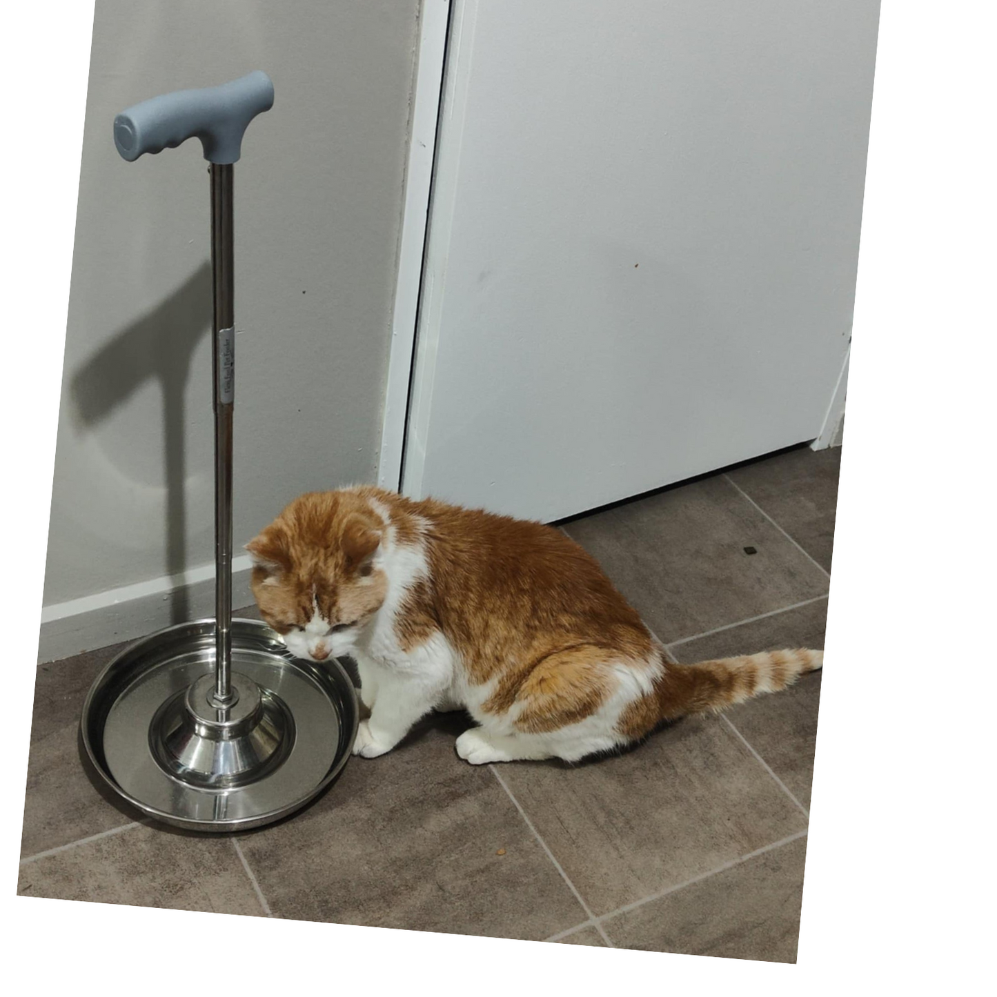 No-Bend Dog or cat Water/Food bowl with Extendable Handle, 'LARGE' size.